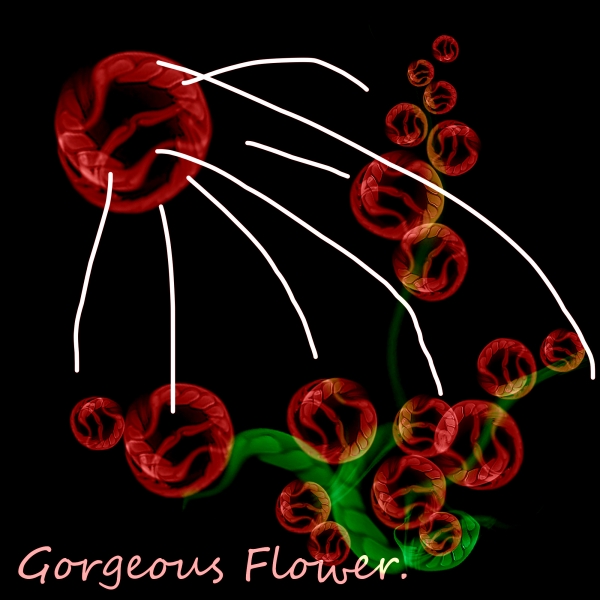 Creation of Gorgeous Flower: Step 2